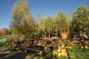 Klimatyczny domek zagrodowy na imprezy okolicznościowe