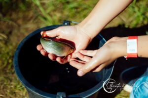 Staw zagrodowy otoczony zielenią w Zagrodzie na Wzgórzu
